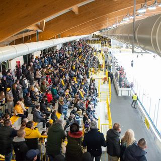 Sabato all'Acinque Ice Arena un muro giallonero accoglierà Varese e Pergine per gara 1 della semifinale (Photosport &amp; More)