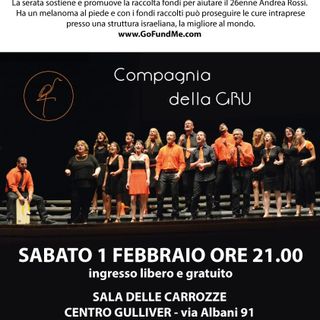 Varese, un concerto al Gulliver per aiutare Andrea