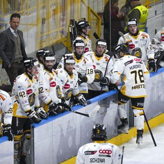 «Nella bolgia del Palalbani caddero gli dei»: Mastini, basta una settimana per aggiornare la storia. La gente ci crede, e voi? «Nella bolgia del Palalbani caddero gli dei»: Mastini, basta una settimana per aggiornare la storia. La gente ci crede, e voi?