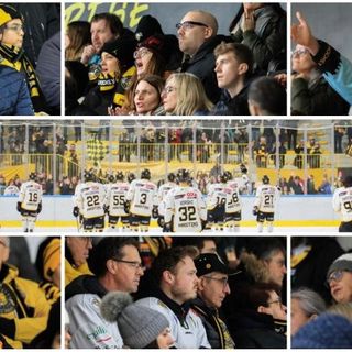 Culla di passione: i volti dei 900 cuori gialloneri presenti all'Acinque Ice Arena per Varese-Caldaro (foto Emanuele Scordo)