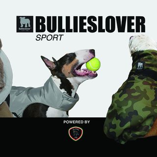 Bullieslover, il brand varesino specifico per cani molossoidi protagonista a "Quattro zampe in fiera"