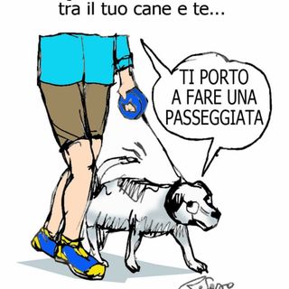 La prima camminata a 6 zampe di Busto vista dal &quot;nostro&quot; vignettista Tiziano Riverso