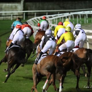 Al via la stagione ippica all'Ippodromo Sette Laghi delle Bettole