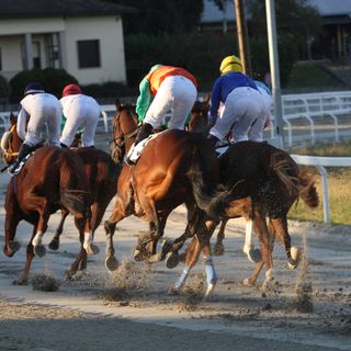 Dallo Sforzato all'Inferno, domani all'ippodromo il galoppo è di...vino