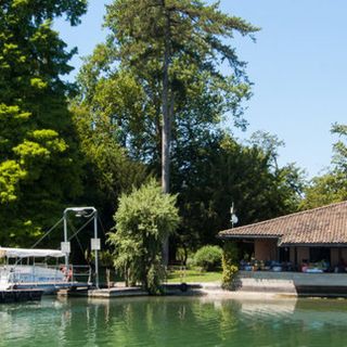 L'Isolino Virginia da domani riapre al pubblico: viaggio nella preistoria tra navigazione, museo e ristorante