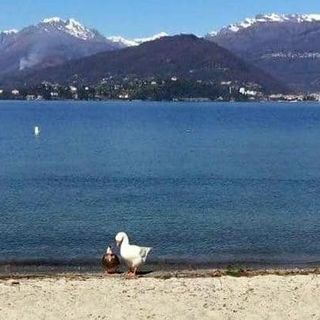 Sicurezza laghi: da Varese a Comabbio e Ghirla, da Monate al Maggiore e al Ceresio, la Regione stanzia 72mila euro per i nostri bacini