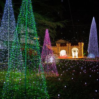 (foto tratta dalla pagina Facebook ufficiale "Lucine di Natale")