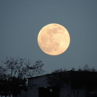 (Immagine di repertorio)