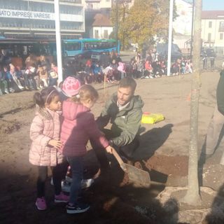 Varese rifiorisce con le magnolie. In piazza Biroldi e piazza Trieste i bambini seminano il futuro