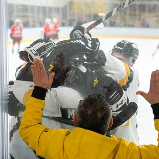 Il plexiglass non basta a dividere l'anima del popolo giallonero da quella dei suoi Mastini (Photosport &amp; More)