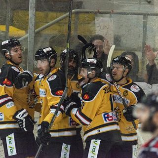 Mastini macchina perfetta (foto Alessandro Galbiati)