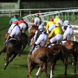 Alle Bettole Mondo (al) Galoppo: sabato di lusso con il Premio La Novella