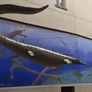 Pnrr, Bodio Lomnago e Besano: al via la creazione del primo distretto culturale della preistoria tra fossili e palafitte