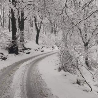 In giornata è attesa la prima neve al Campo dei Fiori