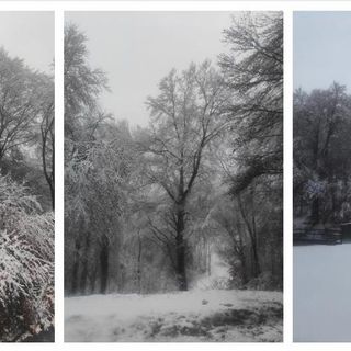 Le foto del Campo dei Fiori innevato grazie al nostro inviato Olgher