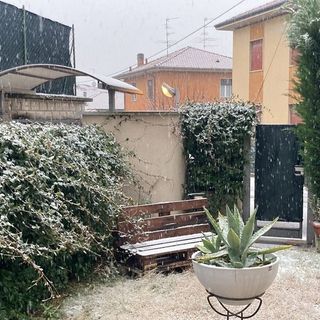 Rivedremo i fiocchi bianchi in settimana anche se la quota della neve per ora è ferma attorno a 500-600 metri