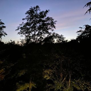 È stata una vera notte tropicale: in provincia temperatura minima di 24 gradi