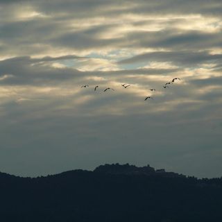 Domani qualche goccia, sabato Carnevale Bosino con sole e 15 gradi. Poi crollo termico e forse poca pioggia o neve