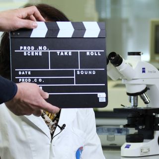 Open day 2021: l’Insubria si presenta online con una settimana di mini-eventi