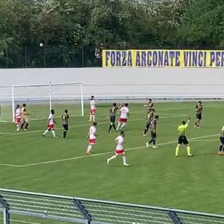 I voti al Varese: difesa da salvezza con un solo gol subito in tre partite. Beak di poche parole ma di sostanza
