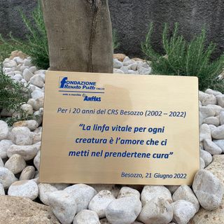Il Centro di Besozzo di Fondazione Piatti compie 20 anni