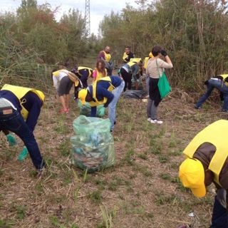Malnate e Vedano Olona aderiscono a "Puliamo il mondo"
