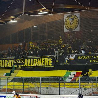 MASTINI SFRATTATI. La società di gestione: «Dette cose non vere, tranne una». I Ragazzi della Nord: «Chi di dovere agisca per Varese e per i tifosi»