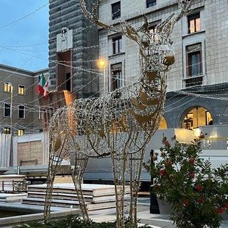Venerdì l'accensione dell'albero in piazza Monte Grappa e delle luci nelle vie di Varese