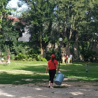 I volontari di Pro Loco ripuliscono i Giardini Estensi e raccolgono un sacco di... mutande I volontari di Pro Loco ripuliscono i Giardini Estensi e raccolgono un sacco di... mutande