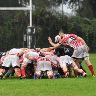 Su le maniche, giù la testa: forza Rugby Varese (foto tratta dalla pagina Facebook ufficiale del club)