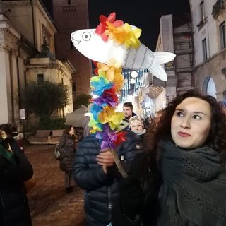Oggi alle 15 le sardine sono in piazza San Vittore a Varese: «Il verde è di tutti»