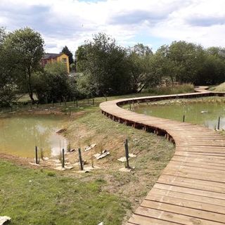 Nella foto di Raffaele Coppola pubblicata da Bizzozero.net alcuni stagni urbani delle aree umide a Bizzozero. Sotto nella gallery un altro scorcio nella foto di Uninsubria-Idrogea