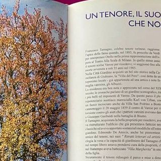 L'esemplare di Liquidambar styraciflua nel parco di Villa Tamagno fotografato nel libro “Alberi&amp;Varese” dell'agronomo varesino, già vicesindaco, Daniele Zanzi