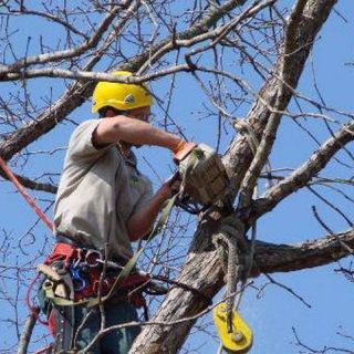 (foto generica di repertorio)