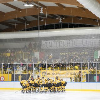 Mastini, è il momento di soffrire assieme agli splendidi tifosi che stasera saranno a Feltre con voi
