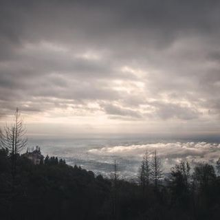 Foto Maurizio Borserini
