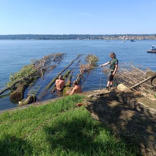 I lavori all'albero sradicato sul lungolago di Angera (foto dalla pagina Facebook del Comune)