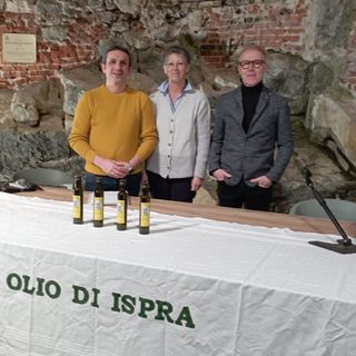 La serata di degustazione dell'olio di Ispra La serata di degustazione dell'olio di Ispra