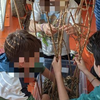 Gli alunni della scuola di Luvinate creano nidi per gufi e storni e vincono il progetto Lipu Gli alunni della scuola di Luvinate creano nidi per gufi e storni e vincono il progetto Lipu