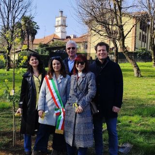 La piantumazione della mimosa a Morazzone