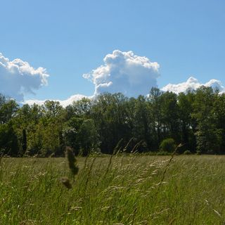 (Foto Paolo Valisa - CGP)