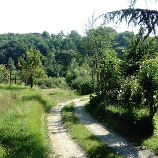 Via Selene, parla il PD: «Condividiamo la scelta dell’amministrazione Galimberti»