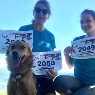 Inizia oggi la Gulliver Virtual Race con 182 iscritti. Le storie più belle di un "ponte immaginario" da Varese a Palermo