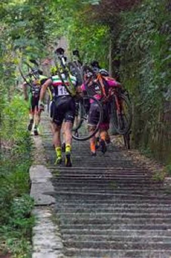 La scalinata di Solbiate Olona La scalinata di Solbiate Olona