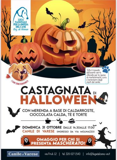 Castagnata di Halloween al canile di Varese: una domenica pomeriggio da urlo Castagnata di Halloween al canile di Varese: una domenica pomeriggio da urlo