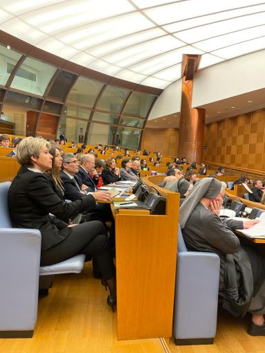 Le Scuole Manfredini arrivano alla Camera dei Deputati per presentare i risultati di “Creasteam Erasmus+” Le Scuole Manfredini arrivano alla Camera dei Deputati per presentare i risultati di “Creasteam Erasmus+”