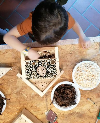 L'Agenzia Formativa della Provincia di Varese avvia il corso triennale dedicato alla lavorazione del legno L'Agenzia Formativa della Provincia di Varese avvia il corso triennale dedicato alla lavorazione del legno