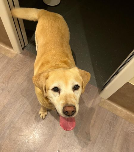 La storia di Luigi e Maia: un ri(incontro) speciale, per abbracciare la vita