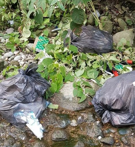 Castigione, rifiuti abbandonati lungo l'Olona ai piedi della Collegiata