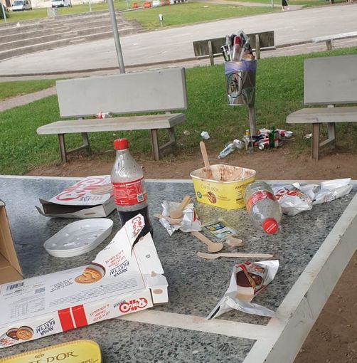 Carta, bottiglie e lattine abbandonate al parco Grande Casa (foto di Comune di Cantello)
